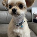 里親さん決まりました！