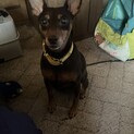 再掲載 よろしくお願いします