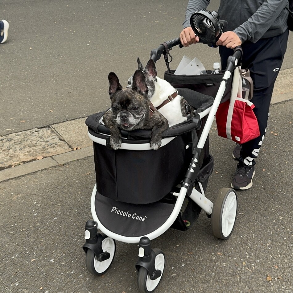 ベスのカバー写真