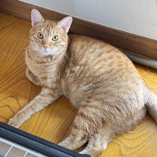 こうちゃん♂★５兄妹の中では食いしん坊