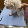 陽気な活発ボーイ サムネイル2