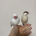 クリーム×シナモン　ペア