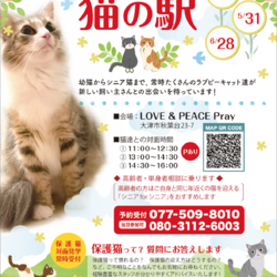 「猫の駅」保護猫譲渡会