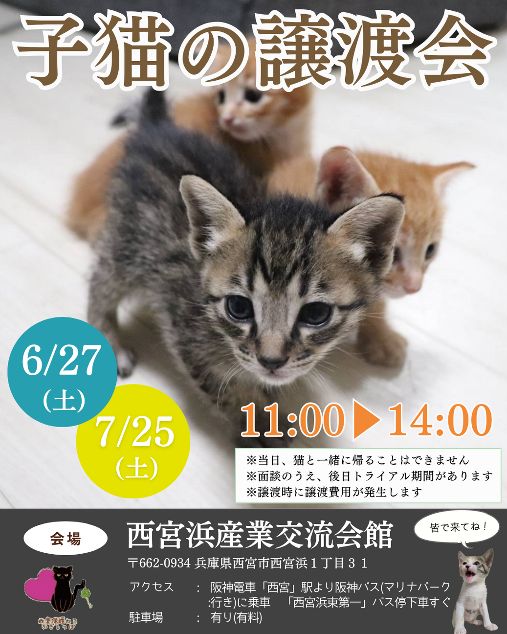 子猫の譲渡会」（西宮保護ねこ かぎしっぽ 預かりボランティアの