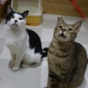 微笑みの王子・ヤムチャ サムネイル5