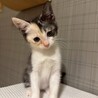 甘えん坊でお喋りさん♡リリちゃん サムネイル5