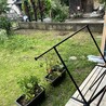 いおー