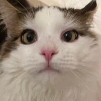ムッシュ