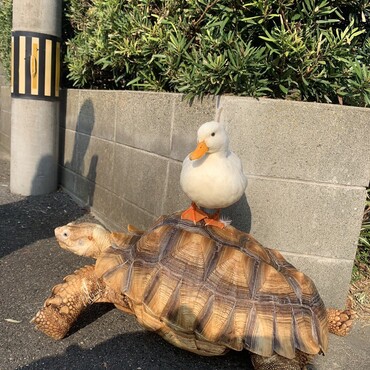 の写真