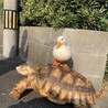 の写真