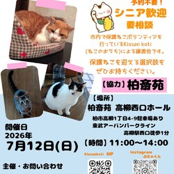 柏斎苑保護ねこ里親会