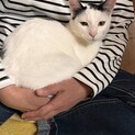 甘えん坊でいつもより添ってくれるマメくん