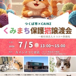 くみまち保護猫譲渡会