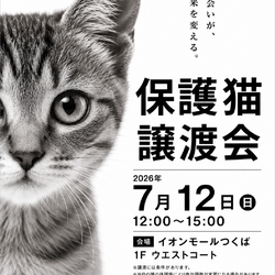 保護猫譲渡会