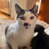 ちょっと臆病でおっとりのんびりハナちゃん