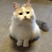 ベルちゃん