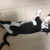 たける