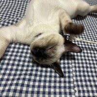 そら