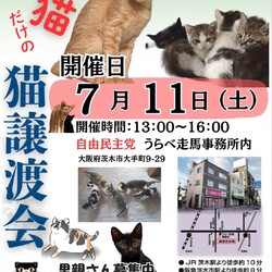子ねこだけの譲渡会@茨木市