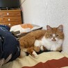 の写真