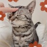 たぬっころ