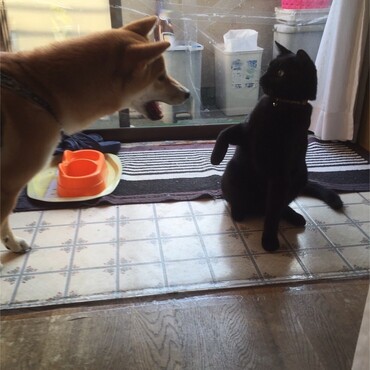の写真