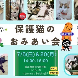 まだら家