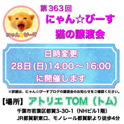 にゃん☆ぴーす猫の譲渡会【都賀･アトリエTOM】