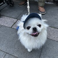 おもち