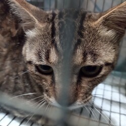 捕獲できた！！