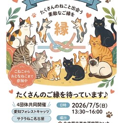 大規模４団体合同　保護猫譲渡会！名古屋市