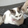 の写真
