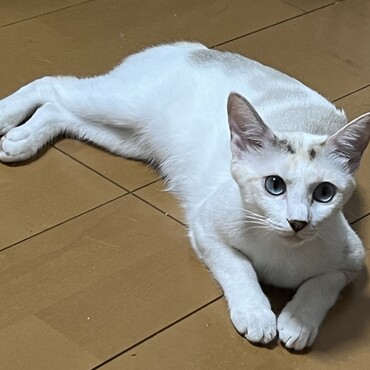 の写真