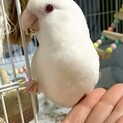 里親さん決まりました。ありがとうございました！