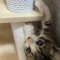 めろん　人馴れバッチリ　ありがとうございました