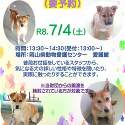 譲渡候補犬とのお見合い会