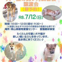 犬・猫の飼い方講習会・譲渡会 サムネイル1