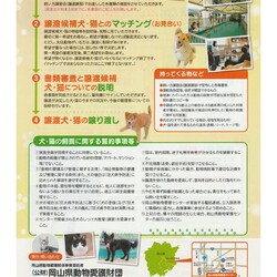 犬・猫の飼い方講習会・譲渡会 サムネイル3