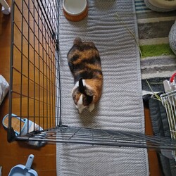 掃除が終わり