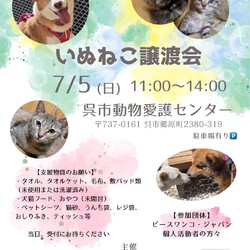 いぬねこ譲渡会