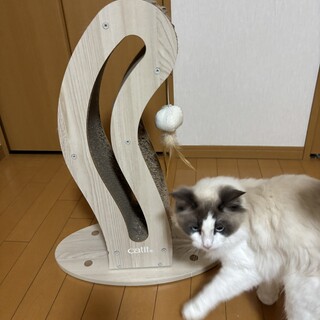 一生の家族様探してます