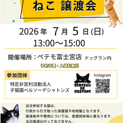 保護猫譲渡会