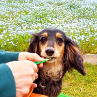 くぅ～ちゃｎ