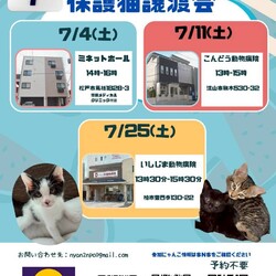 柏市♡保護猫譲渡会♡NPO法人にゃん2