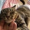 人馴れ120%！驚きに懐こさ！ サムネイル3