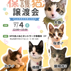 笑ねこ　保護猫の譲渡会
