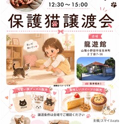 保護猫譲渡会