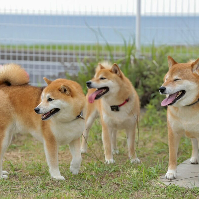 あつき1216のカバー写真