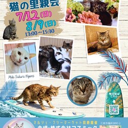猫の里親会