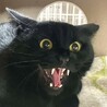 大和(仮)